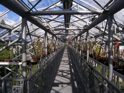 23 - Greenhouse
Leiden, Netherlands
