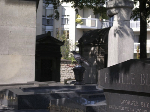 38 - Crow in Cemetery 
Paris, France