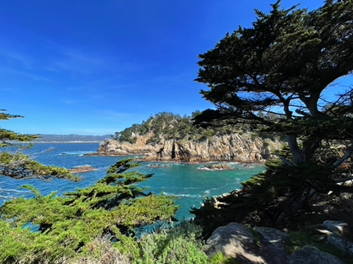 110 - Point Lobos