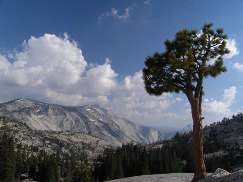 36 - Yosemite View