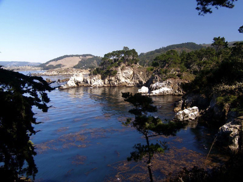 1 - Point Lobos St. Park