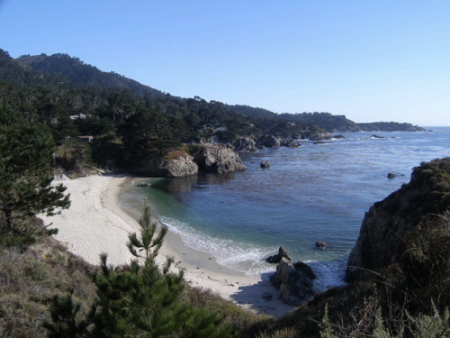 58 - Point Lobos