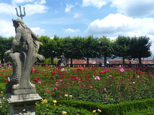 11 - Rose garden at the Neue Residenz, Bamberg