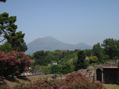 40 - Picturesque Mount Vesuvius