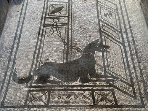 37 - Beware of dog mosaic