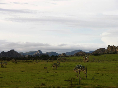 55 - Isalo National Park