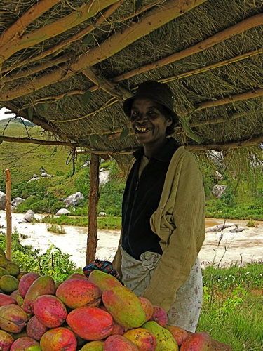 54 - Mango vendor