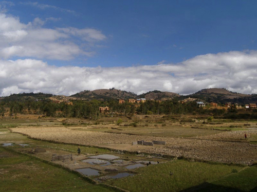 6 - Rice Paddies Near Fianarantsoa