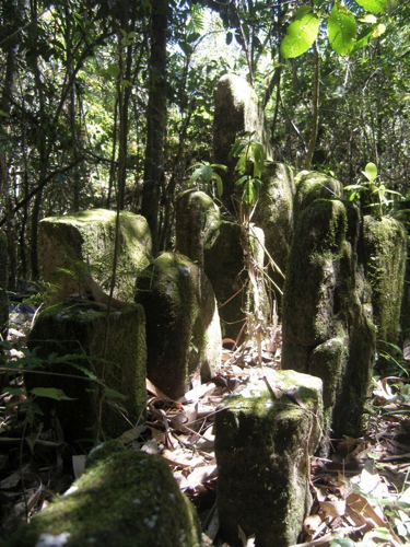 32 - Forest Stones Ranomafana NP