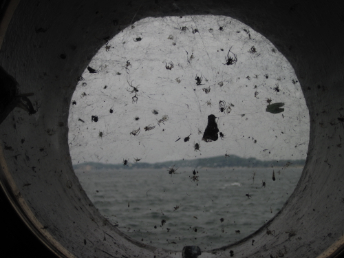 50 - Spiders in the lighthouse window