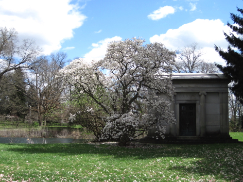 81 - Spring at Spring Grove Cemetery
Cincinnati, OH