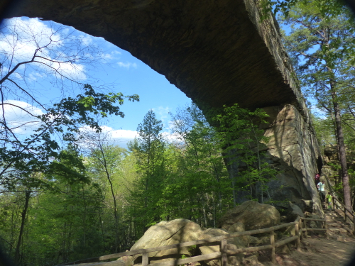 61 - Royal Arch
Red River Gorge, KY