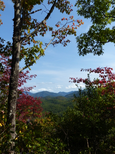 83 - Fall in Great Smokies National Park
Curry Mountain, TN