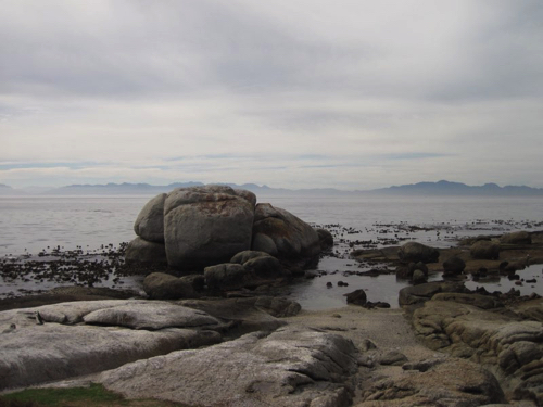 3 - Penguins and boulders at Boulders Beach, Cape Town