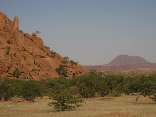 29 - Namib landscape