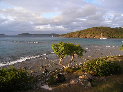 41. View from Gallow’s Point, St. John