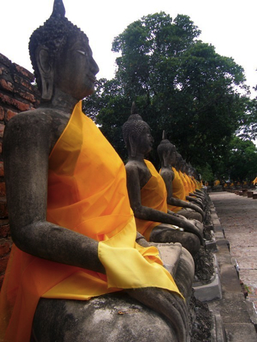 5 - Row of Buddha Statues, Wat Yai Chai