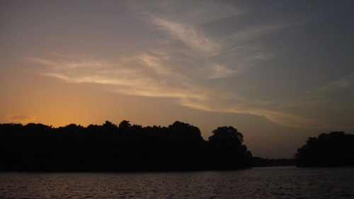 30 - Sunset at Caroni Swamp
