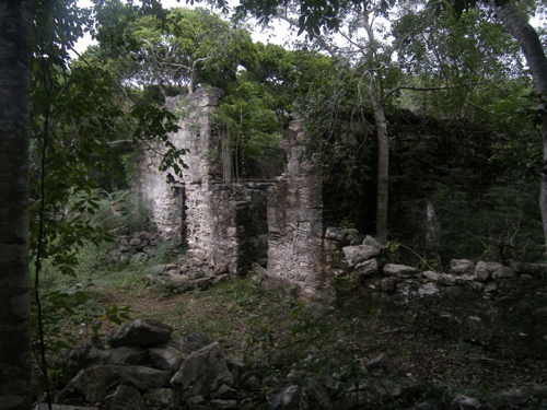 57 - Old Sisal Plantation
North Caicos