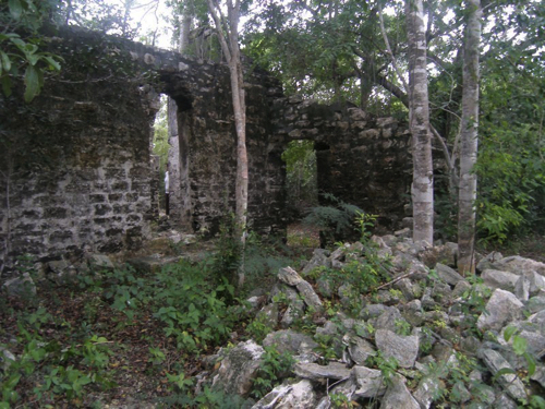 37 - Old Sisal Plantation
North Caicos