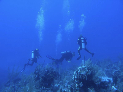 45 - Underwater Research